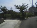 w00588.jpg