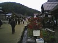 w00672.jpg