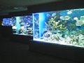 w00737.jpg
