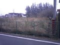 w00741.jpg
