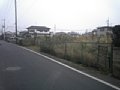 w00742.jpg