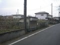w00743.jpg