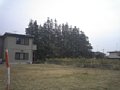 w00750.jpg