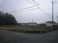 w00751.jpg