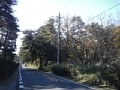 w00753.jpg