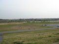w00924.jpg