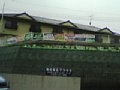 w00989.jpg