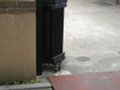w01009.jpg