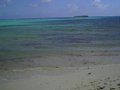w01144.jpg