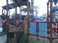 w01481.jpg