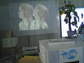 w01750.jpg