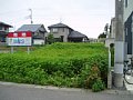 w01770.jpg