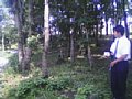 w01785.jpg
