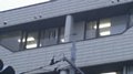w02006.jpg