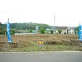 w02045.jpg