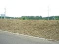 w02049.jpg