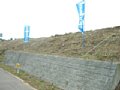 w02059.jpg
