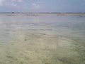 w02481.jpg