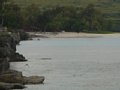w02576.jpg