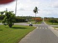 w02589.jpg