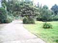 w02752.jpg