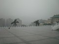 w02971.jpg
