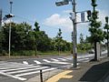 w03060.jpg