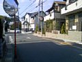 w03106.jpg