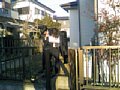 w03246.jpg
