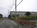 w03498.jpg