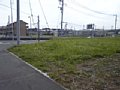 w03562.jpg