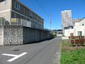 w03595.jpg