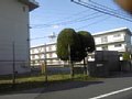 w03774.jpg