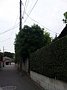 w04209.jpg