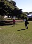 w04309.jpg