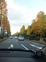 w04508.jpg