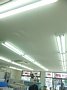 w04882.jpg