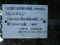 w06260.jpg