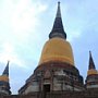 w06431.jpg