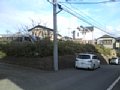 w06731.jpg
